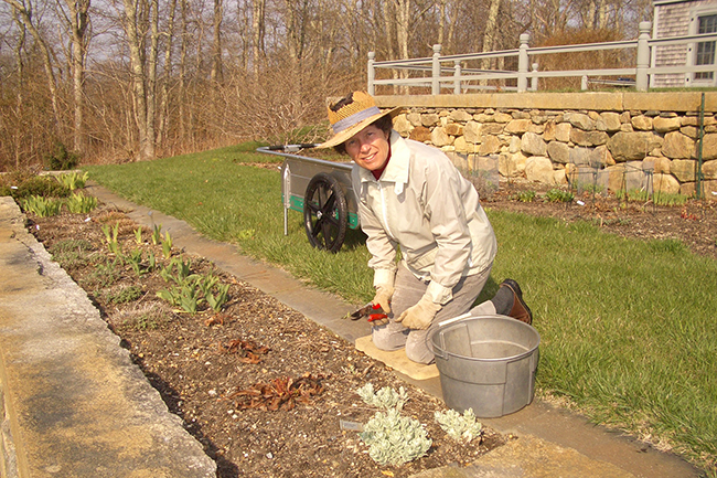 Digging Deeper: Inspired by Gertrude Jekyll with Susanne Clark